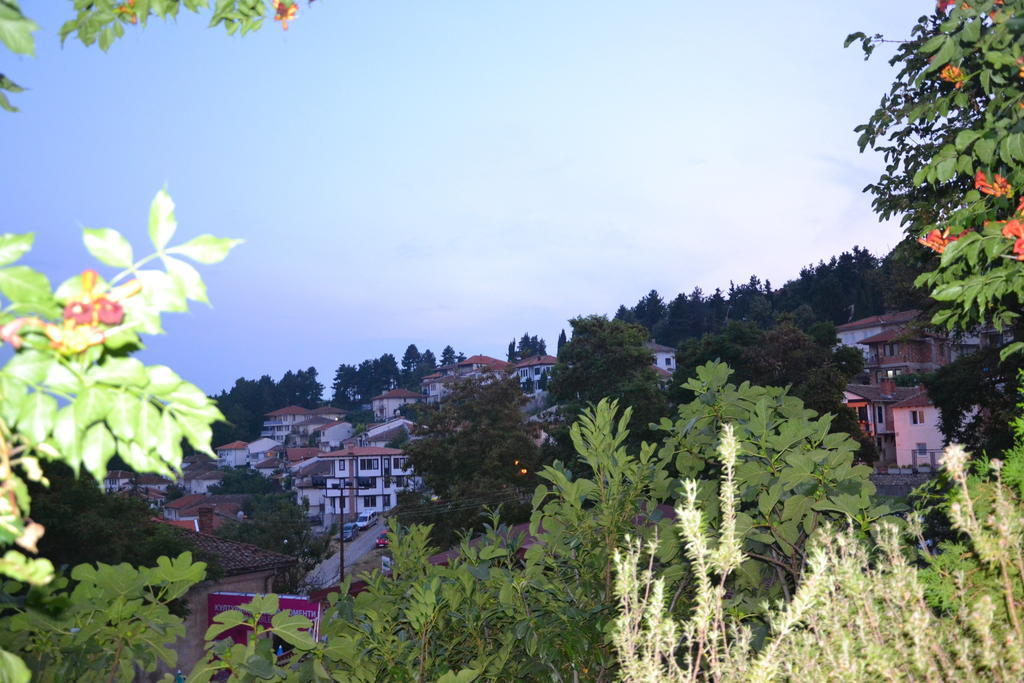 Villa Forum Ohrid Bilik gambar